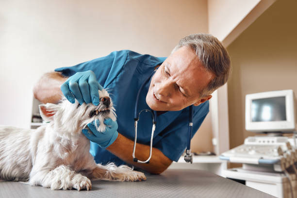 Best Emergency Dental Surgery in Daytona Beach Shores, FL